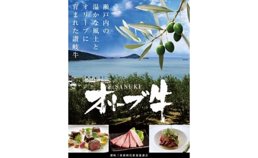 M04-0026_オリーブ牛 ハンバーグ20袋・牛すき丼10袋セット