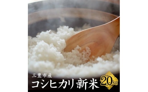 M64-0113_【ふるさと納税】【11/10頃より発送】新米コシヒカリ　20kg