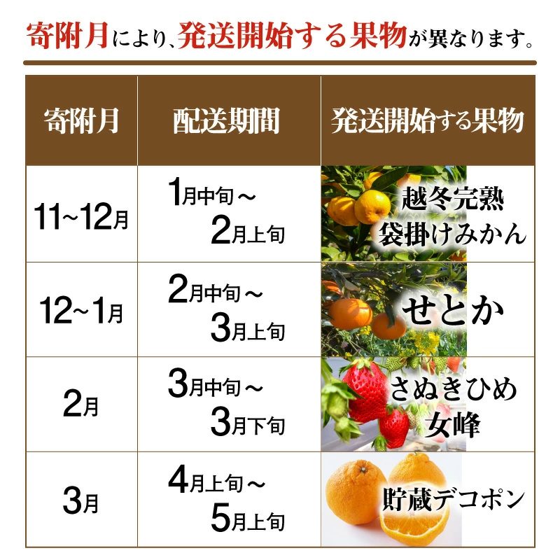 M02-0131-R_フルーツ王国みとよの特選こだわり9品定期便