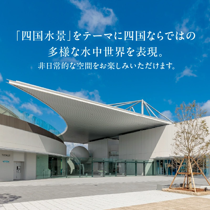 M147-0001_四国水族館ペアチケット