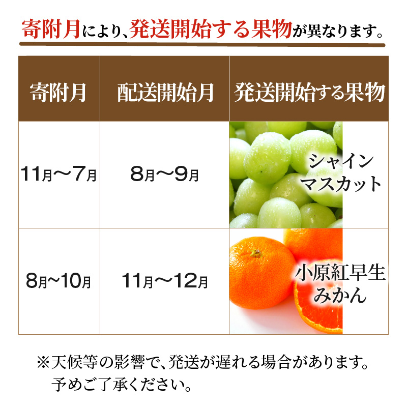 M64-0042_äžè±åžãã«ãŒã2åãå±ãå®æäŸ¿ F