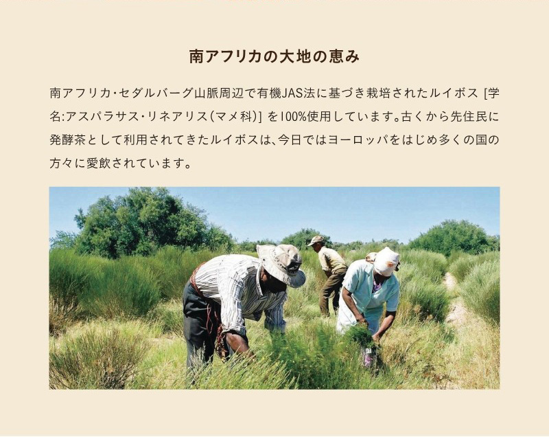 M12-0005_ããµãããšçŽçšãææ©æ œå¹ã«ã€ãã¹è¶(5è¢ã»ãã)