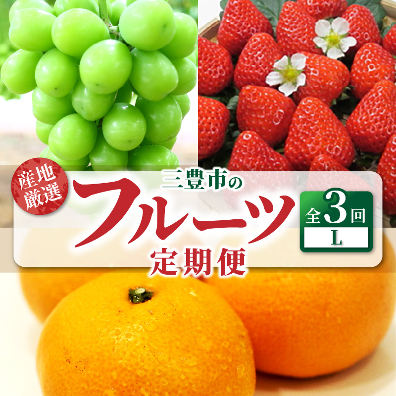 M64-0052_産地厳選三豊のフルーツ3回定期便 L