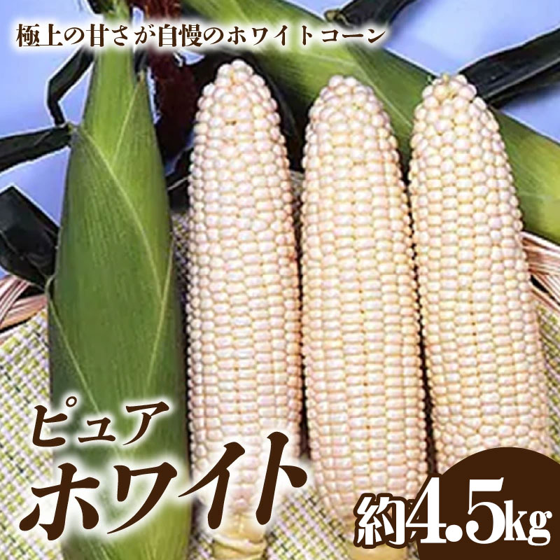 M02-0050_ホワイトコーン「ピュアホワイト」約4.5kg