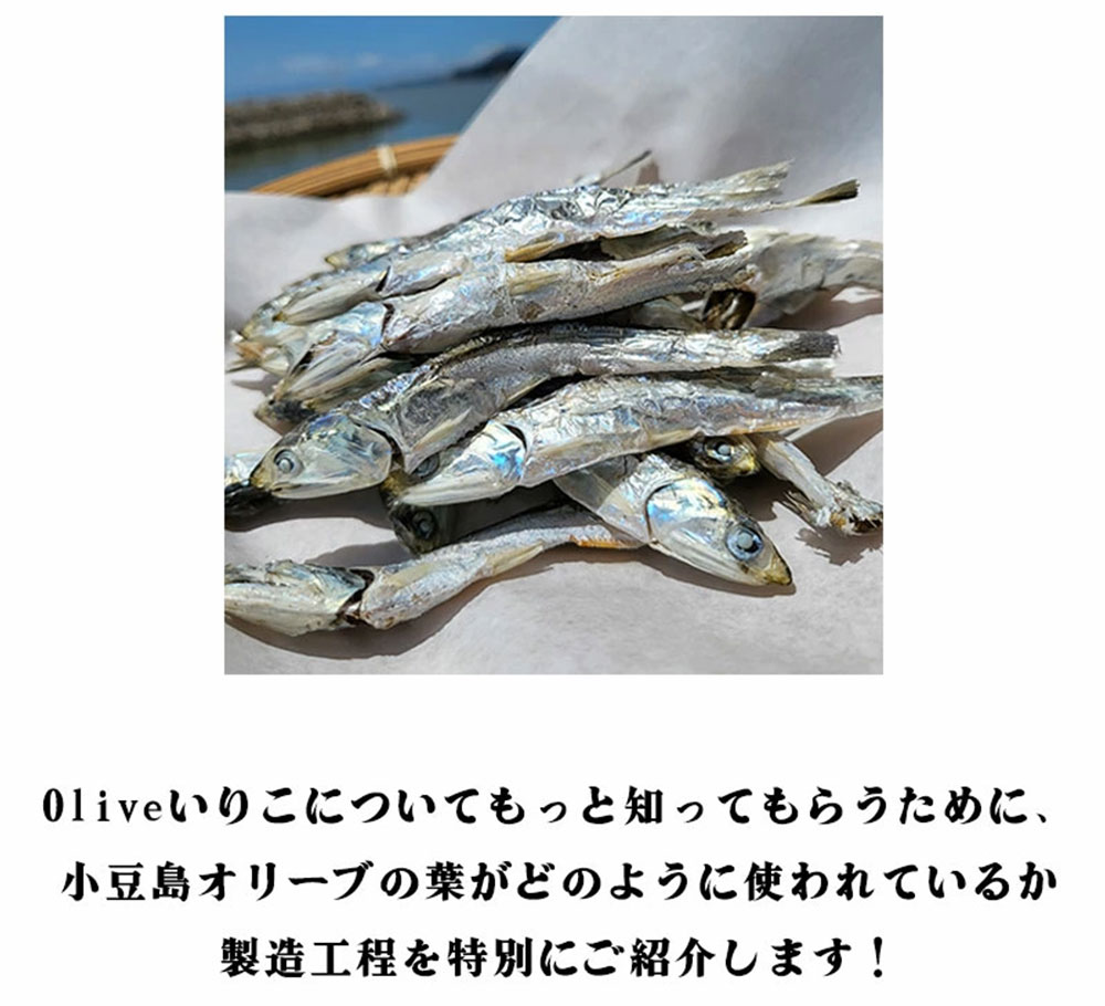 M70-0004-2_香川県三豊市産 オリーブいりこ大羽230g×3