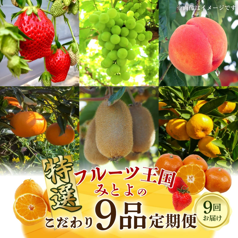 M02-0131-R_フルーツ王国みとよの特選こだわり9品定期便