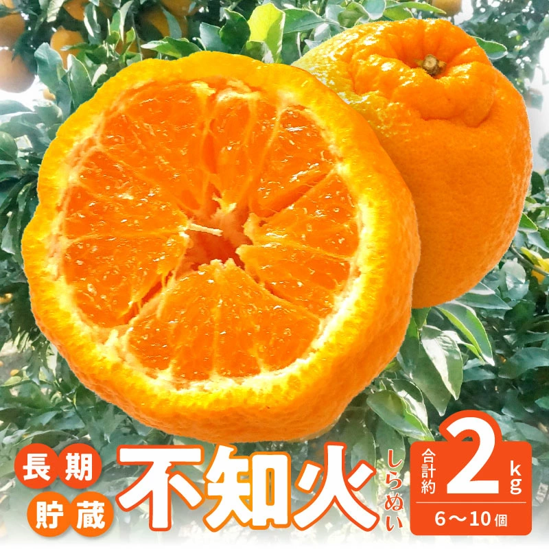 M72-0025_【先行予約】 不知火 約2kg