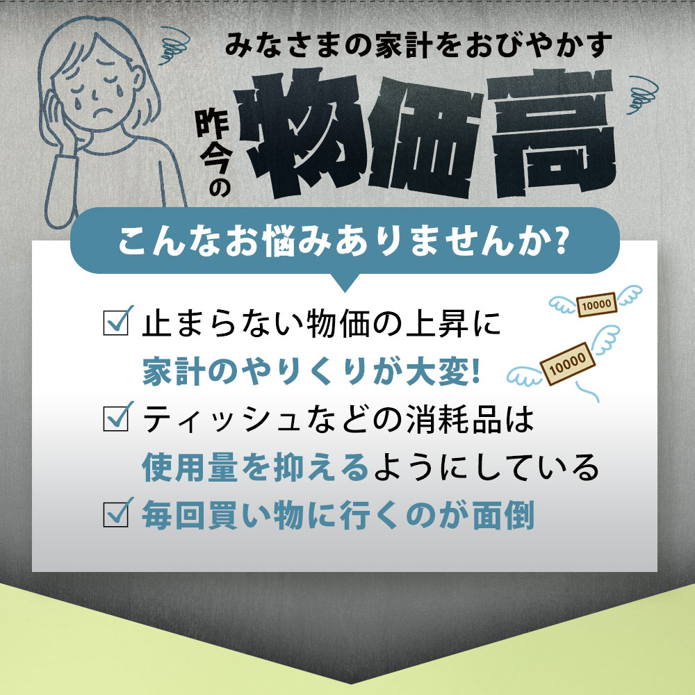 ティッシュ ティッシュペーパー 「 大容量 プラムファッション ボックスティッシュ 2パック (ケース10個入り)　毎月全3回　 」 [ 常備品 生活用品 蛍光染料不使用 日用品 雑貨 消耗品 三豊市 讃岐 15,000円 以下　10,000円　台　返礼品 本気モード ]