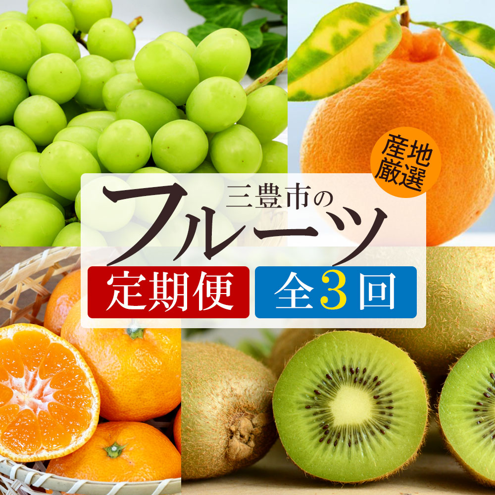 M64-0122_【3回定期便】シャインマスカットと グリーンキウイ・旬のフルーツ (香緑)