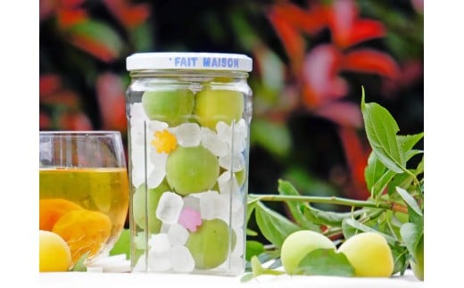 MH142-0003_【ふるさと納税】お家でうめしごと。☆梅シロップkit☆