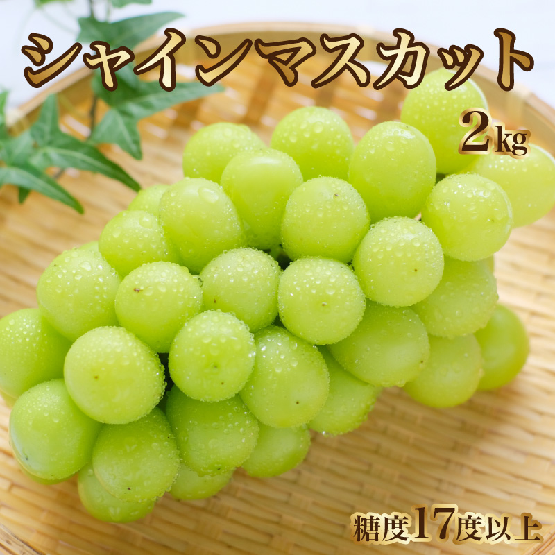 M64-0034_【ふるさと納税】【8月下旬より発送】シャインマスカット2kg(3房)【700g以上】【糖度17度以上】
