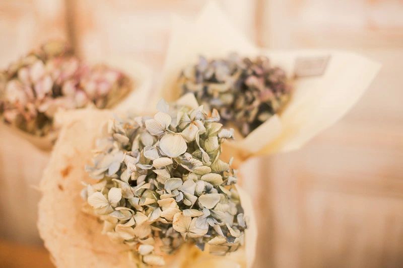 M106-0001_ããµãããšçŽçšãäžè±åž 玫é²åºå±±ã®ãããã2æ¬