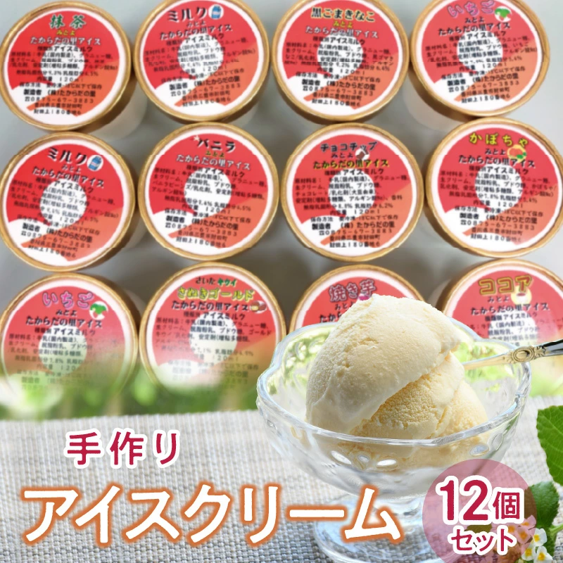 M38-0002_製造直売で人気の手作りアイスクリーム12個セット