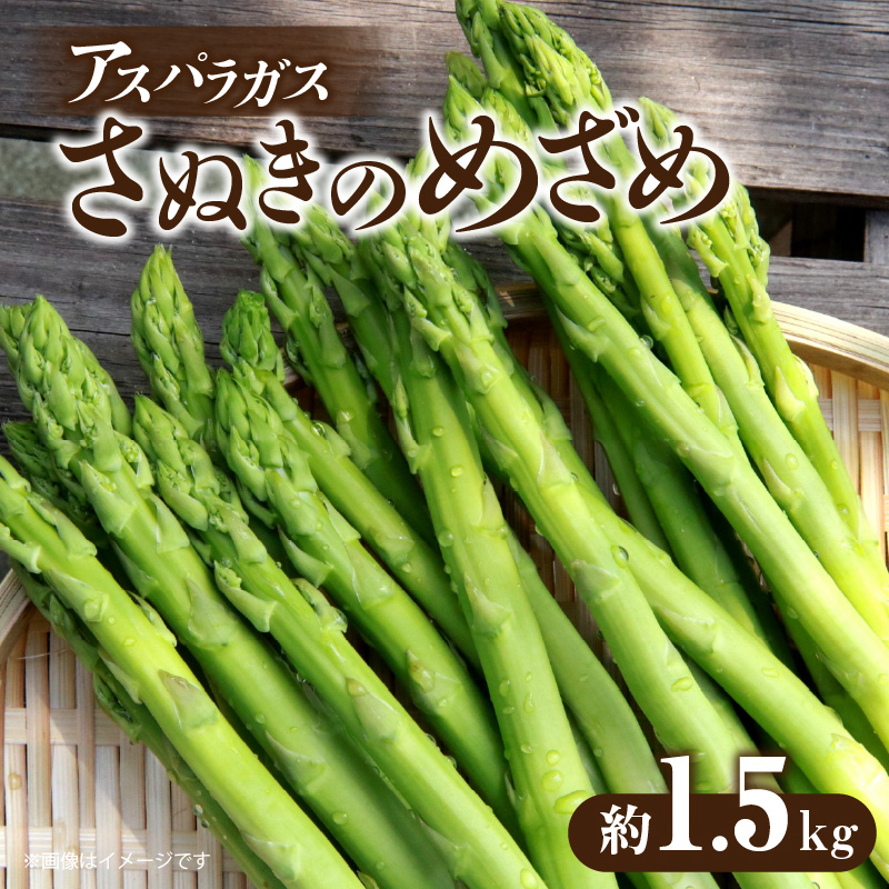 M02-0062_アスパラガス「さぬきのめざめ」約1.5kg(夏芽)