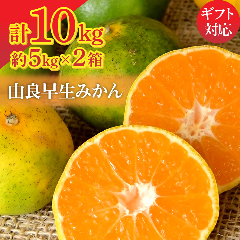 M72-0013_【10月上旬より】由良早生みかん 5kg×2箱【ギフト可】