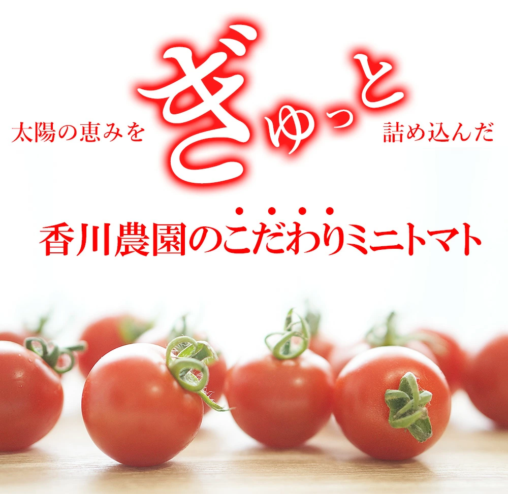 M156-0001_繝溘ル繝医槭ヨ1.5kg