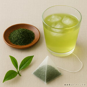 M95-0136_【お手軽！簡単】粉末緑茶入り煎茶ティーバッグ　60g(3g×20袋) （三-71）