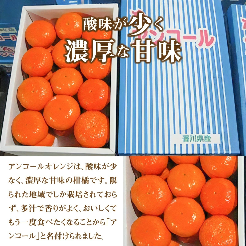 M02-0106_希少な果実!「アンコールオレンジ」 約5kg