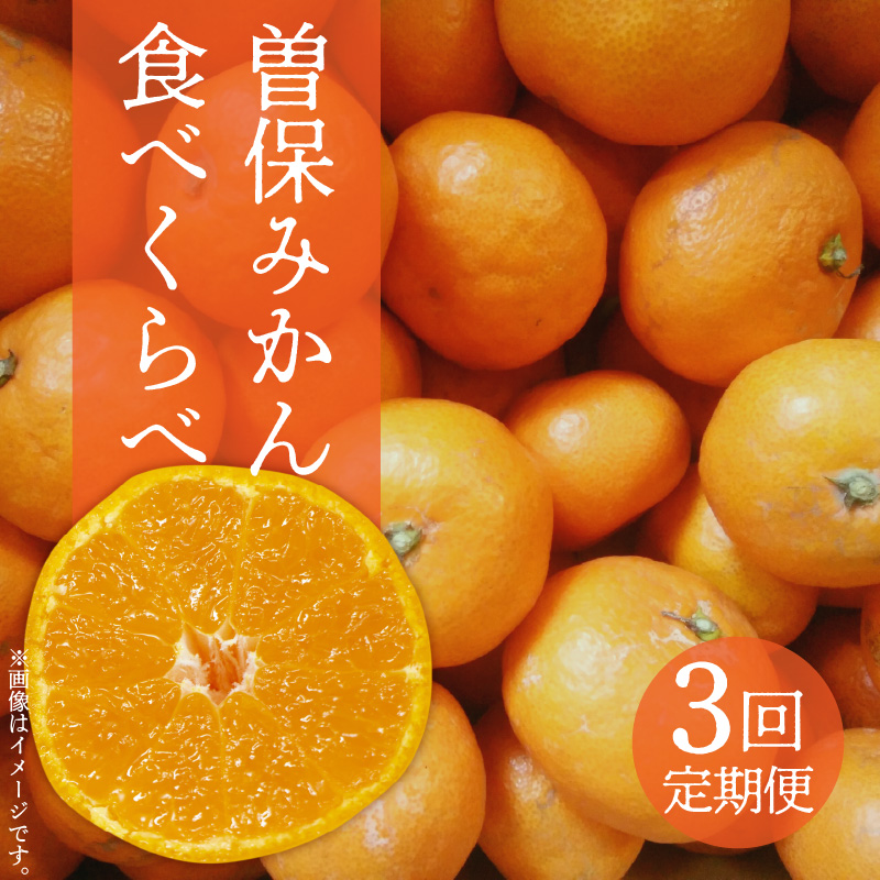 M72-0009_曽保みかん食べくらべ(3回定期便)