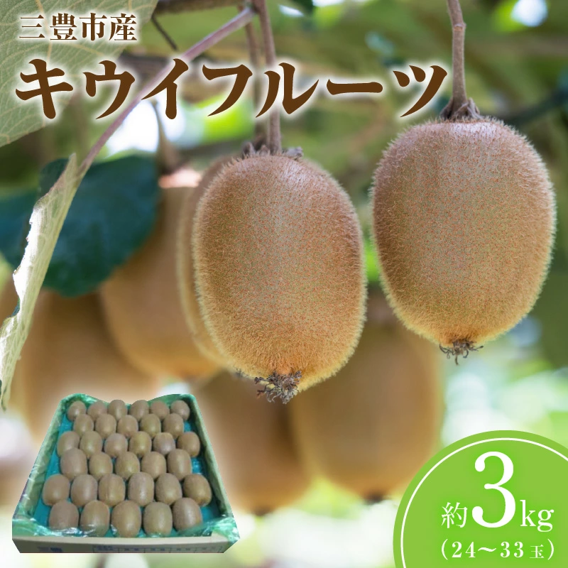 M02-0075_【ふるさと納税】三豊市産キウイフルーツ