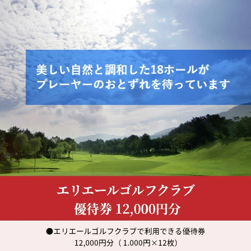 エリエールゴルフクラブ 優待券 12,000円分_M80-0001