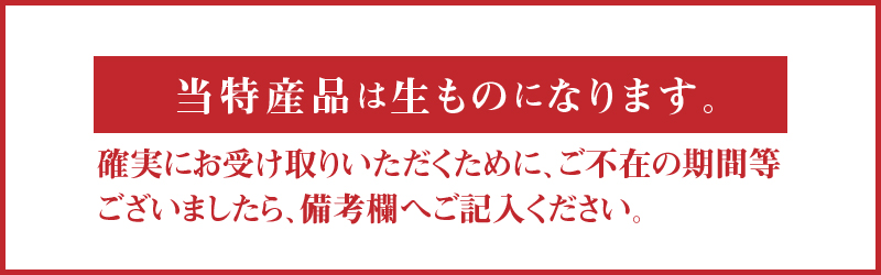 【配送不可地域：北海道・沖縄県・離島】ふるーつ物語「越冬完熟みかん」約３kg（30〜50個入り）_M02-0031