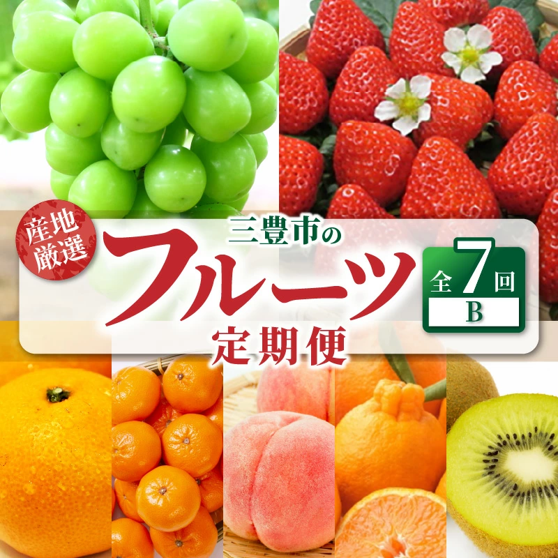 M64-0077_ããµãããšçŽçšãç£å°å³éžäžè±ã®ãã«ãŒã7åå®æäŸ¿ B