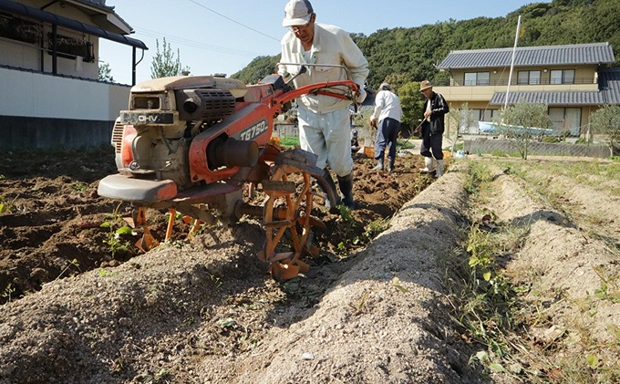 小豆島のさつまいも【紅あずま約5kg】