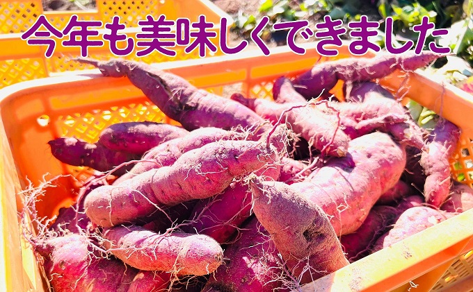 小豆島のさつまいも【紅あずま約5kg】