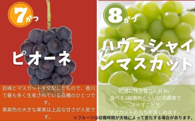 土庄町 ふるさと果実 12回定期便