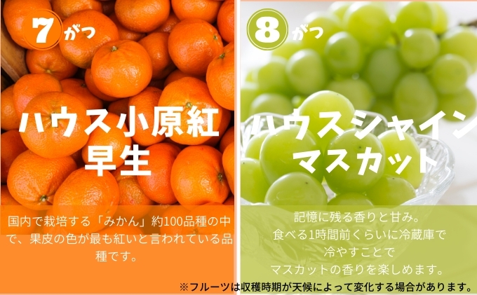 土庄町 ふるさと果実 12回定期便