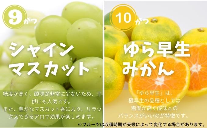 土庄町 ふるさと果実 12回定期便