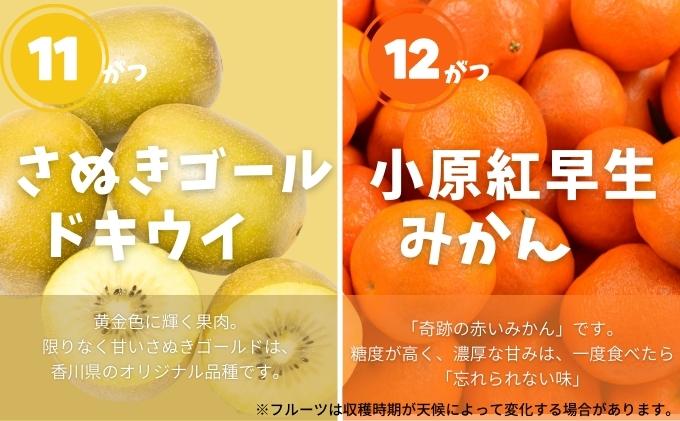 土庄町 ふるさと果実 12回定期便