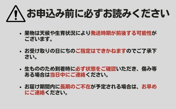 土庄町 ふるさと果実 12回定期便