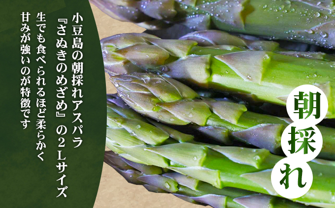 【先行予約】小豆島の朝採れアスパラ 『さぬきのめざめ』２Lサイズ１kg　配送期間：２月中旬～５月中旬まで