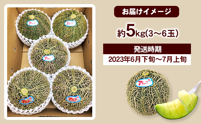 小豆島アムスメロン　約5kg