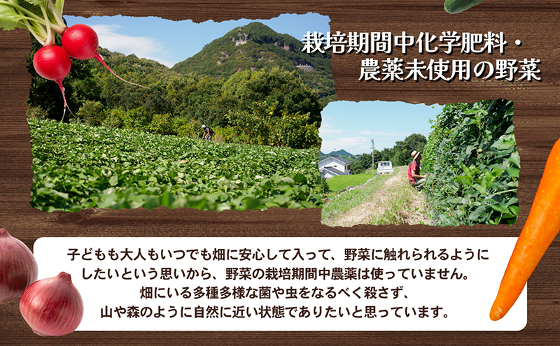 瀬戸内小豆島そだちの旬野菜セット 農家直送