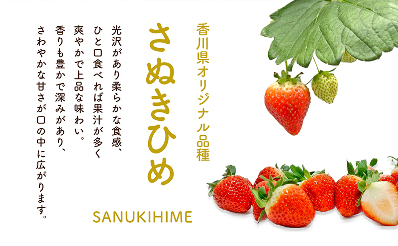 ã å°è±å³¶ ãå°è±å³¶å€éœã¶äž ãã¡ã 2ããã¯å
¥ã ãã¬ãã²ã èº ã€ã㎠æç© ãã«ãŒã éŠå· éŠå·ç ååº ååºçº