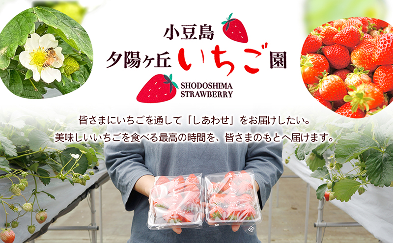 ã å°è±å³¶ ãå°è±å³¶å€éœã¶äž ãã¡ã 2ããã¯å
¥ã ãã¬ãã²ã èº ã€ã㎠æç© ãã«ãŒã éŠå· éŠå·ç ååº ååºçº