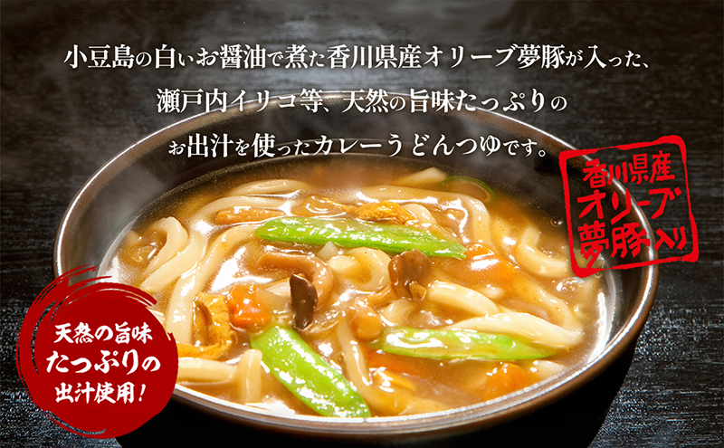 小豆島製麺所のおやじが造ったカレーうどんの素　３個セット（３人前）