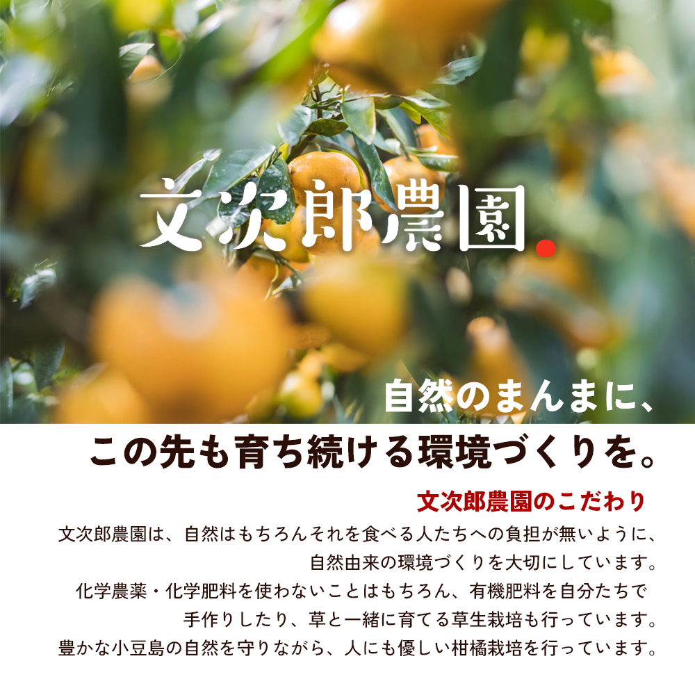 文次郎農園 早摘み檸檬胡椒＆摘果実蜜柑胡椒