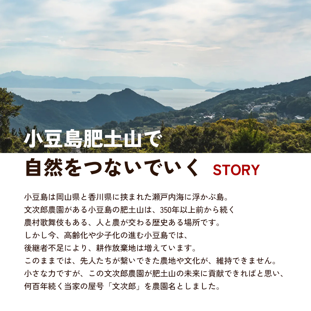 【 小豆島 】文次郎農園のセミドライ みかん 3袋セット 柑橘 蜜柑 ミカン セミ ドライフルーツ 乾燥 ドライ 果物 軽食 おやつ デザート 香川 香川県 土庄 土庄町