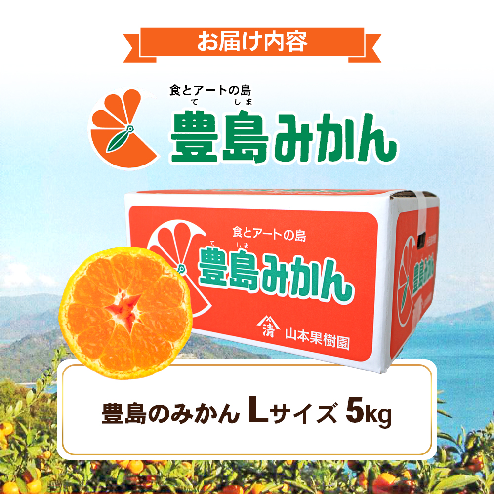 瀬戸内海に浮かぶ島・豊島の段々畠で育てられた甘～いみかん（Lサイズ5kg）1箱 豊島 みかん 甘い 瀬戸内海 てしま 小豆島 土庄 柑橘 フルーツ