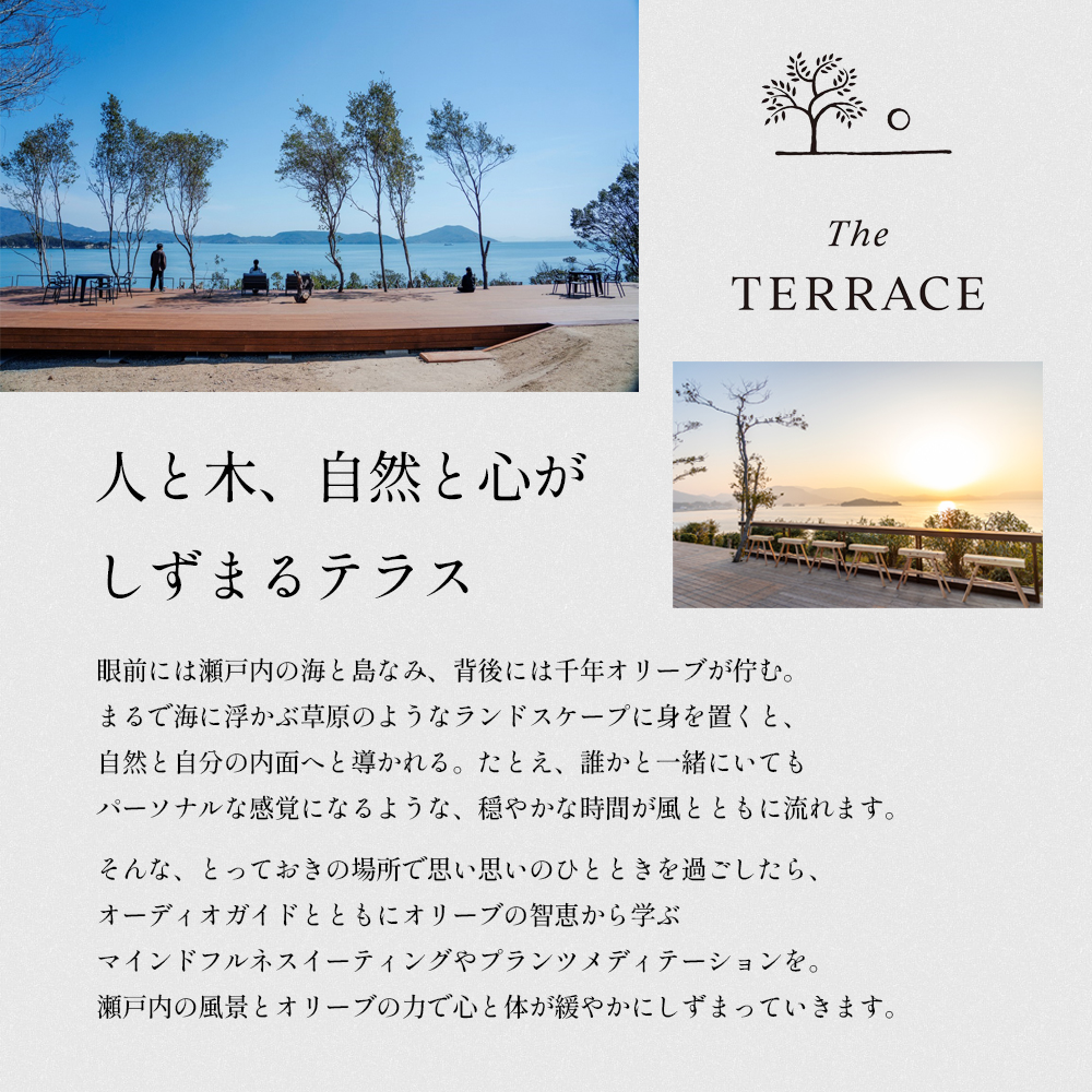 千年オリーブテラス for your wellness　オリーブオイルテイスティング講座（入園つき）ペアチケット オリーブオイル 体験 体験チケット オリーブテラス ペア 小豆島