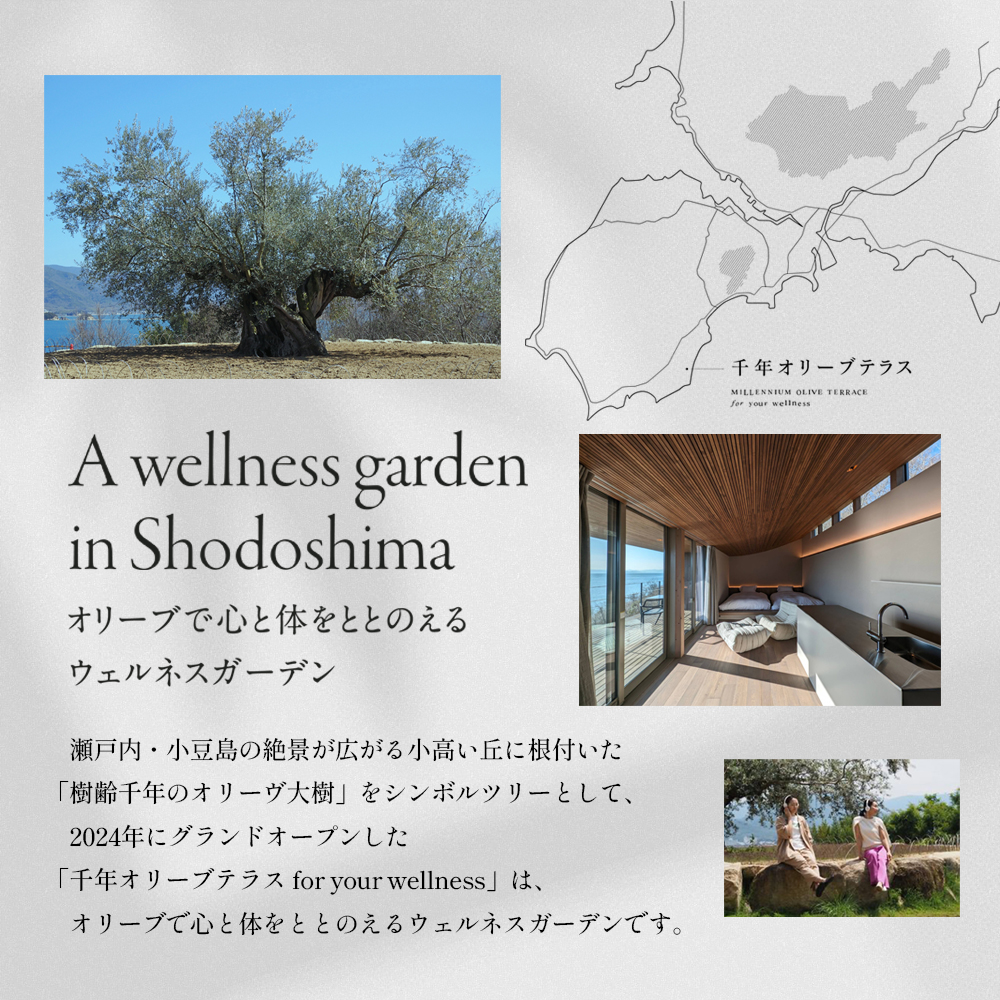 【女性1名様限定】千年オリーブテラス for your wellness 「The STAY」　1泊2日 夕朝食、スパつき宿泊券 オリーブテラス オリーブ 宿泊 チケット 泊まる  睡眠浴 スパ 女性 一人旅 小豆島