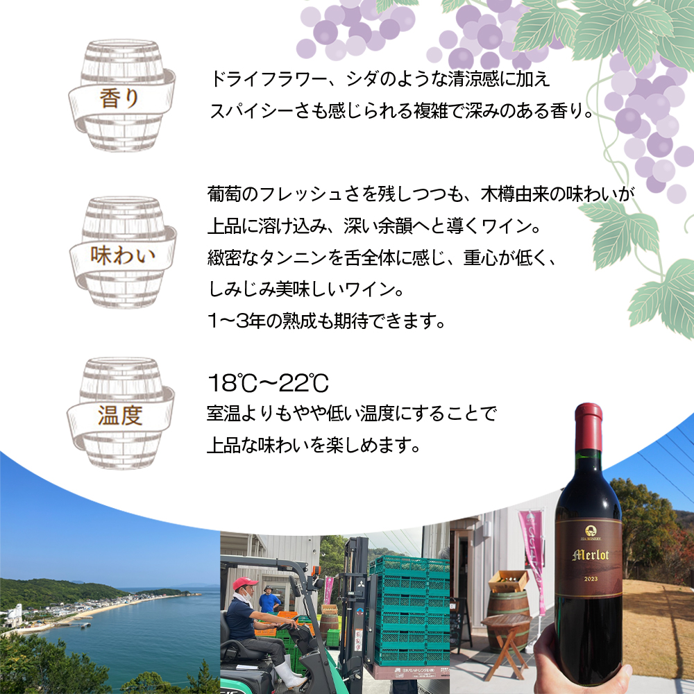 【 小豆島 】【ワイングラスセット】小豆島醸造 メルロー 2023年 720ml×1本&ブルゴーニュ型ワイングラス2脚 化粧箱入り お酒 酒 ワイン 赤ワイン 熟成 ワイングラス ペアグラス 贈り物 ギフト 国産 香川 香川県 土庄 土庄町