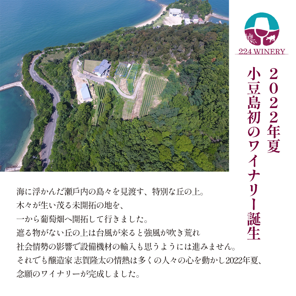 小豆島醸造 プティヴェルド 2023年 720ml×1本 ワイン 赤ワイン 国産 ぶどう 小豆島 箱入