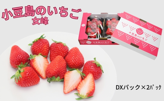 【 小豆島 】小豆島のいちご（女峰）DXパック［ 250ｇ×２パック］ 果物類 苺 イチゴ