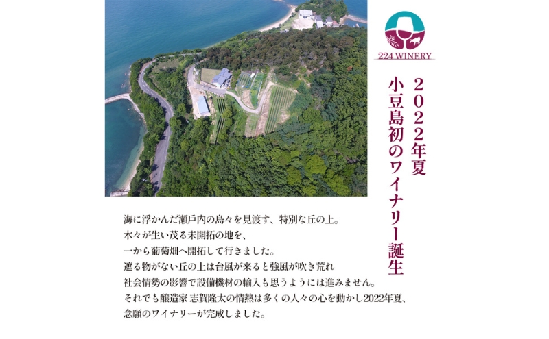 小豆島醸造　デラウェア　2024