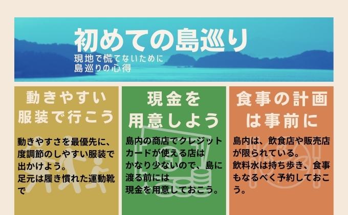 【 小豆島 】瀬戸内国際芸術祭2025作品鑑賞パスポート1枚（オールシーズン) チケット 瀬戸芸 現代美術 趣味